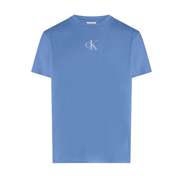 Calvin Klein Graphic Print Crew T-Shirt Glacier